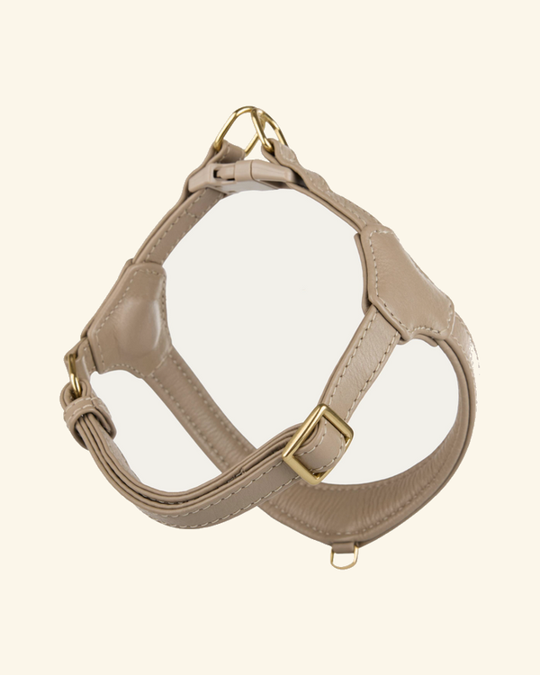 Harnesses