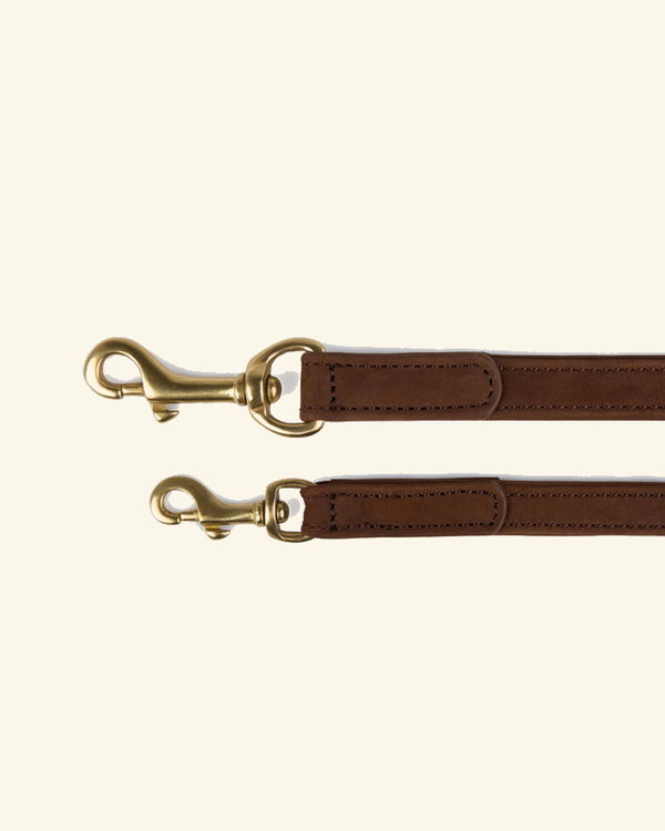 Leashes