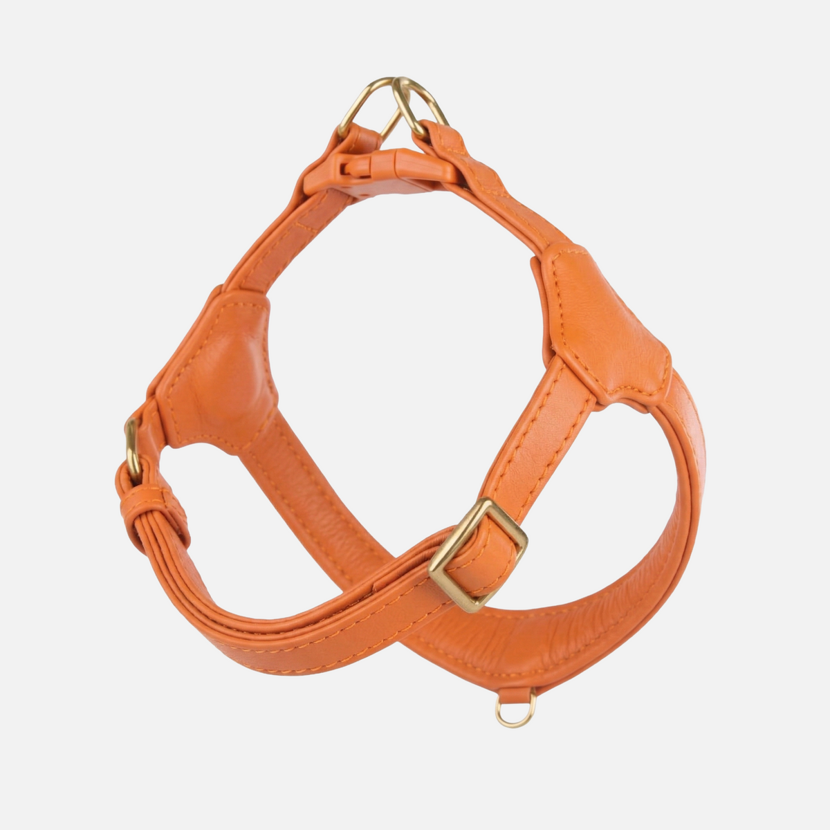 Ham Step-In Pico · Amber