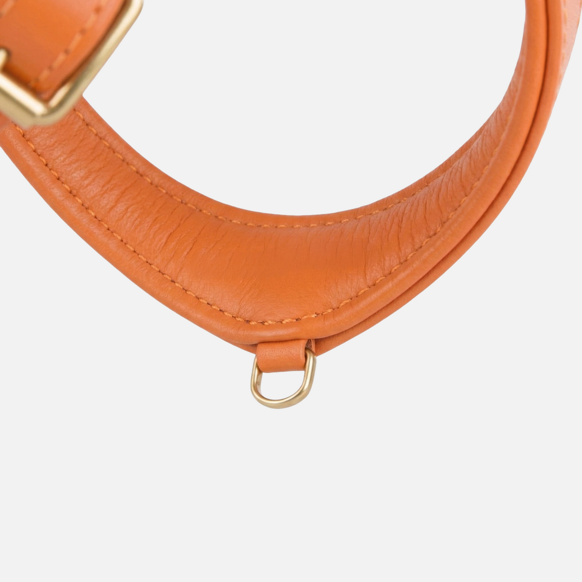 Ham Step-In Pico · Amber