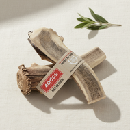 Corn de cerb R-Line M (easy), cadru editorial