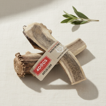 Corn de cerb R-Line M (easy), cadru editorial