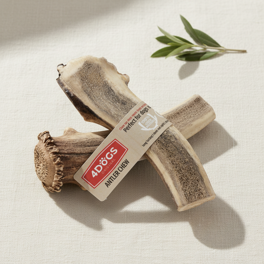 Corn de cerb R-Line M (easy), cadru editorial