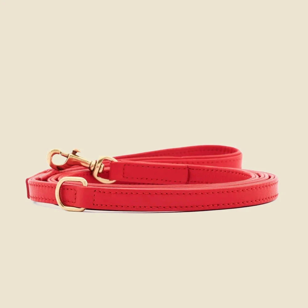 Lesă din piele Plain — Chili