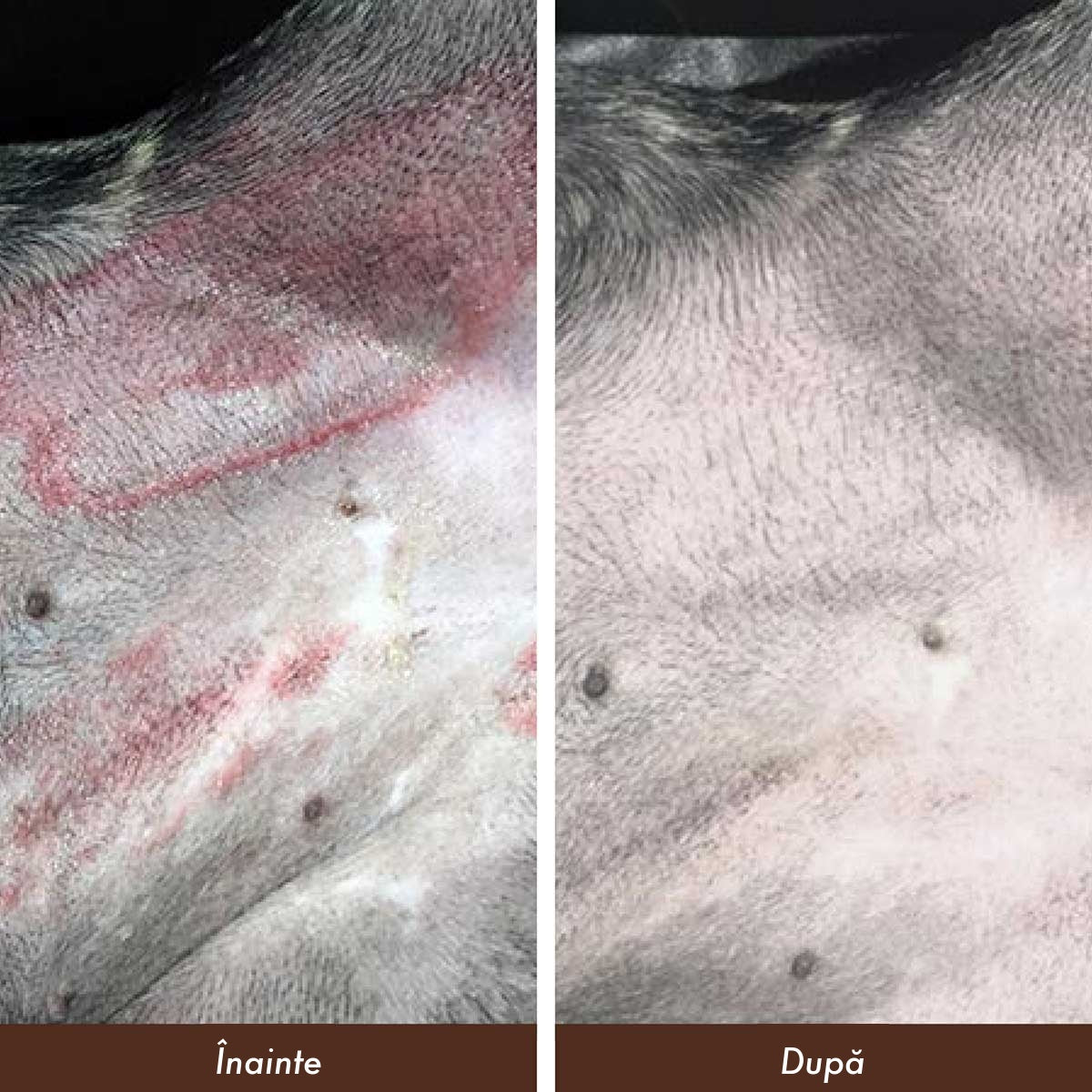 Balsam calmant pentru piele uscată și iritată — înainte și după
