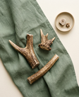 Antlers